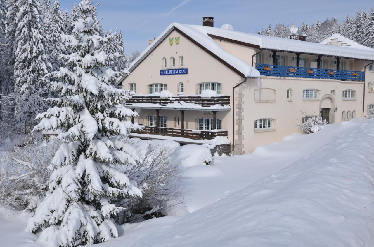 Aux Truites Bleues Hotel Fort-du-Plasne Екстериор снимка